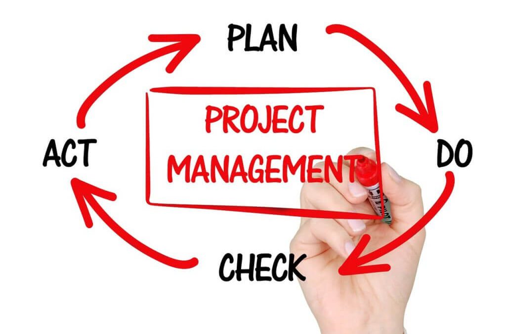 Finding Your Sweet Spot Between Technology and Project Management