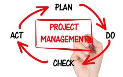 Finding Your Sweet Spot Between Technology and Project Management