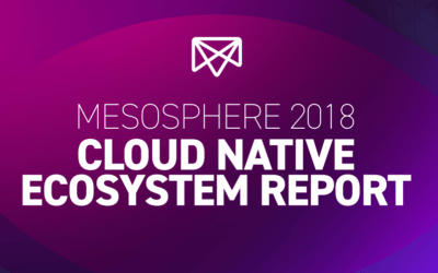 Mesosphere 2018 Cloud Native Ecosystem Report