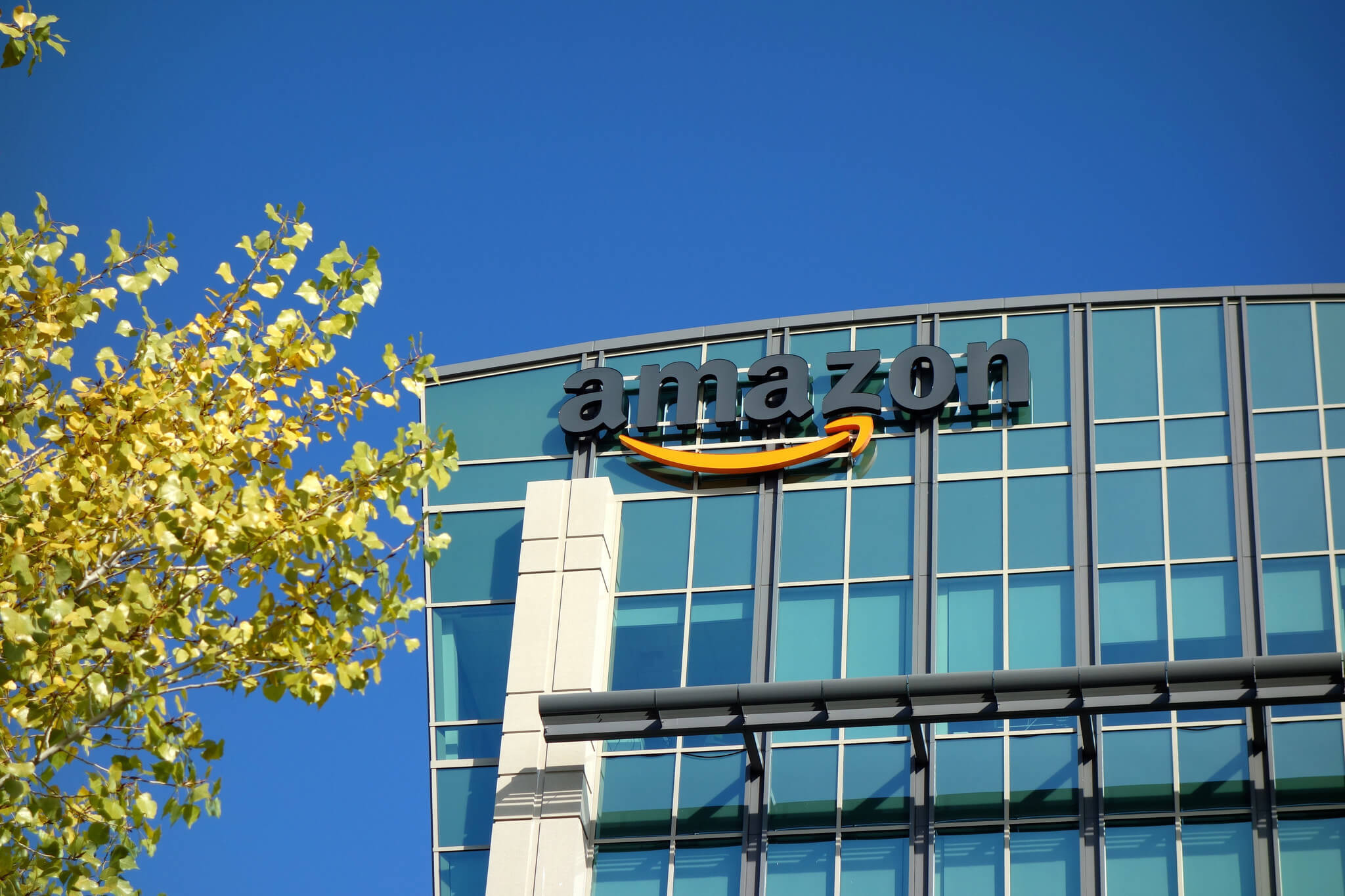 Cloud Computing Dominates Amazon Profits