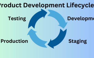 4 Environments in the Product Development Lifecycle