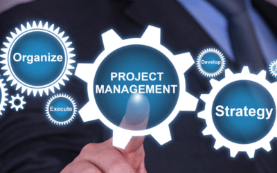 Effective Project Management in Software Development: Tips for On-Time and On-Budget Delivery