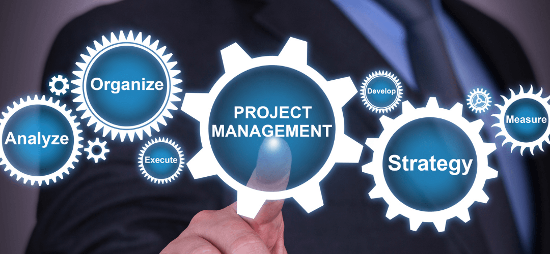 Effective Project Management in Software Development: Tips for On-Time and On-Budget Delivery